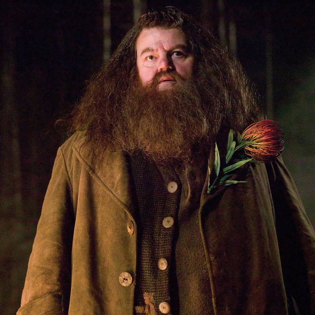 Fiktive Figuren Penis-Voting – Platz 1: Hagrid