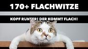 fLACHWITZE DIE ÜBER 170 BESTEN NEU WITZIG KURZ KRASS - Foto: Domepitipat / iStock