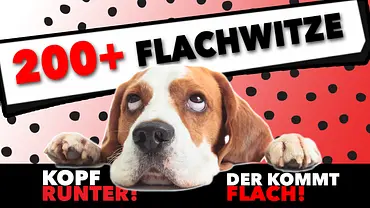 Flachwitze lustig kurz - Foto: iStock-igorr1 Flachwitze lustig kurz - Foto: iStock-igorr1