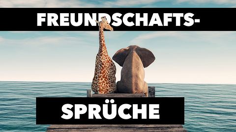 Die schönsten Freundschaftssprüche - Foto: :Mihaela Rosu / iStock