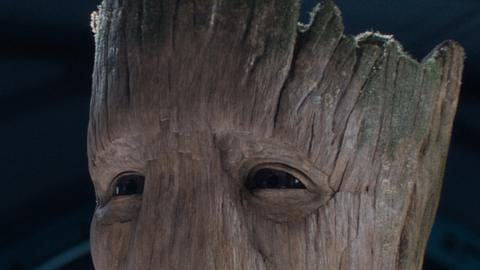 „Guardians of the Galaxy Vol. 3” – Warum kann Groot plötzlich sprechen? - Foto: Disney/Marvel