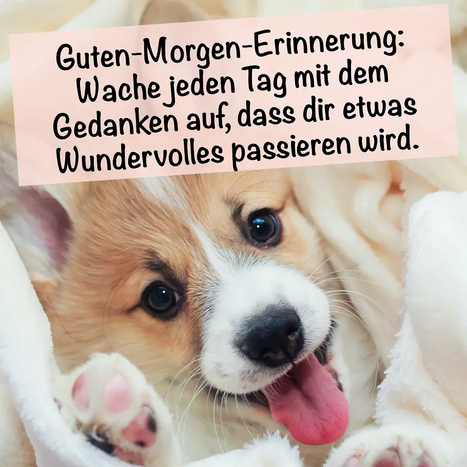 guten morgen bilder