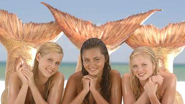 Emma, Rikki und Cleo wurden unter Wasser berühmt! Doch ihre Karriere ging an Land weiter... - Foto: PR