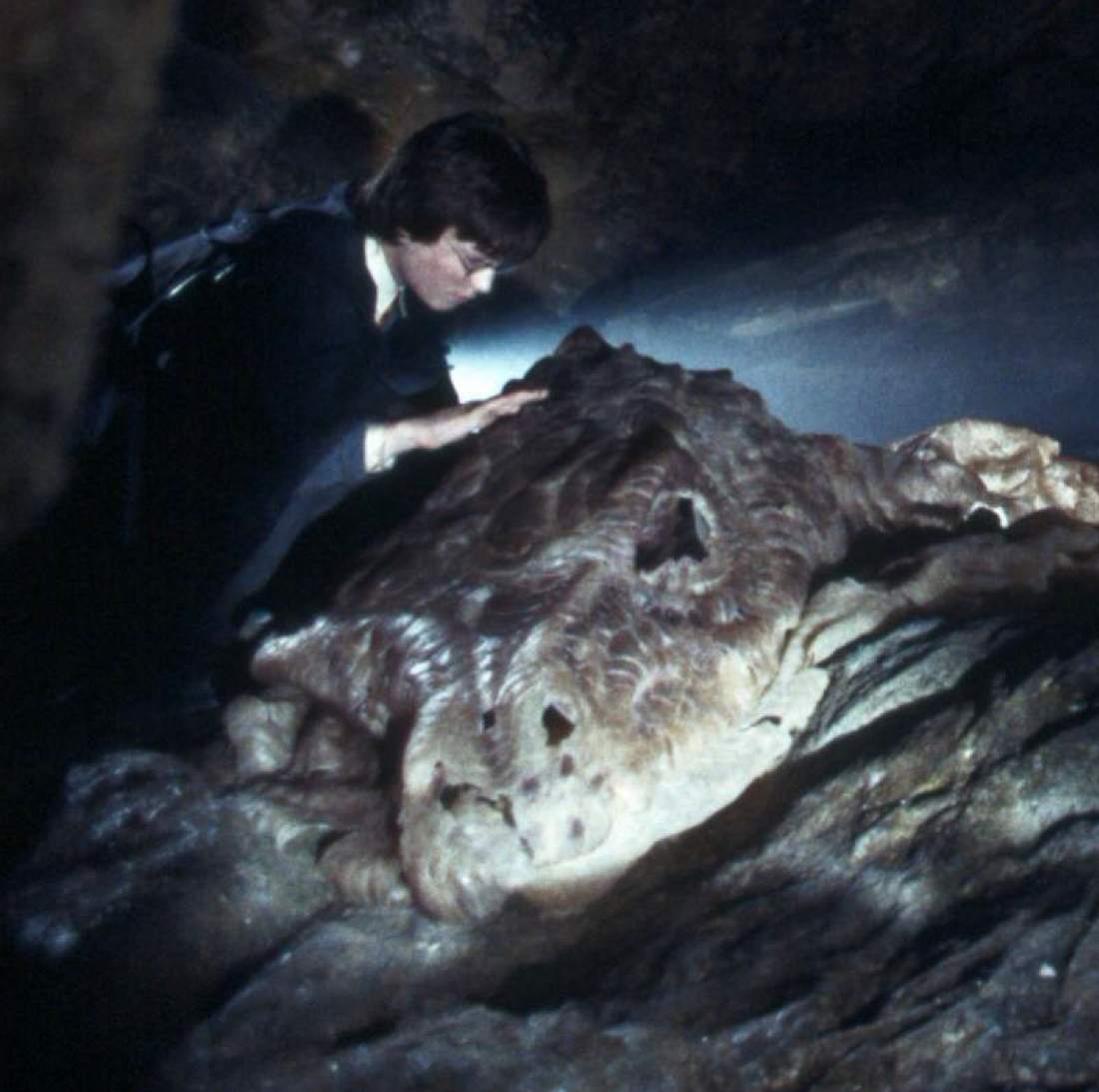 Harry Potter war mit dem Basilisk (riesiges Schlangenwesen) in der Kammer des Schreckens gefangen