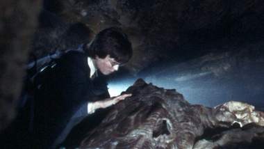 Harry Potter war mit dem Basilisk (riesiges Schlangenwesen) in der Kammer des Schreckens gefangen - Foto: IMAGO / United Archives