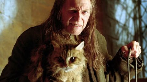 Harry Potter-Film-Schauspieler in der Serie: David Bradley als Argus Filch - Foto: Warner Bros.