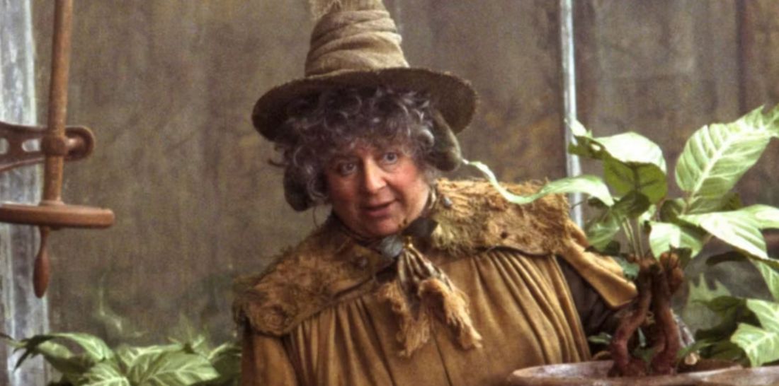 Harry Potter-Film-Schauspielerin in der Serie: Miriam Margolyes als Pomona Sprout