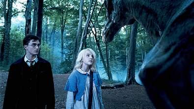 Harry Potter: Großes Rätsel ENDLICH gelöst! - Foto: Cinema Publishers Collection / Imago