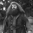Harry Potter-Star verstorben: Robbie Coltrane (Rubeus Hagrid) stirbt mit 72 Jahren - Foto: EntertainmentPictures / Imago