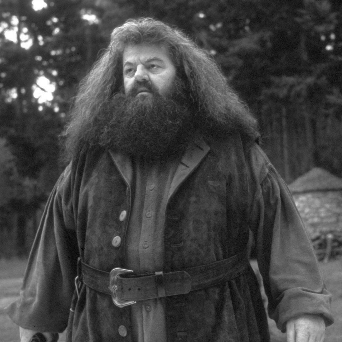 Harry Potter-Star verstorben: Robbie Coltrane (Rubeus Hagrid) stirbt mit 72 Jahren