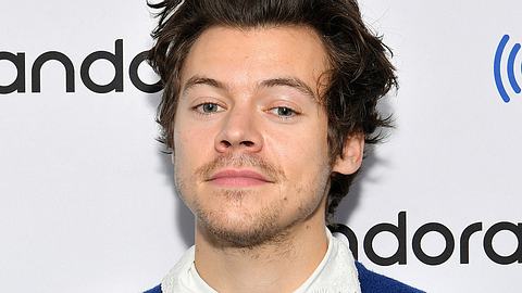 Harry Styles: Mega-Angebot für Dirty Dancing 2 - Foto: Dia Dipasupil / Getty Images