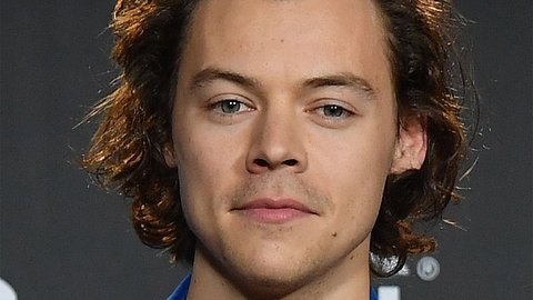 Harry Styles Rolle des Prinz Eric in Disney Realverfilmung Arielle? - Foto: Getty Images