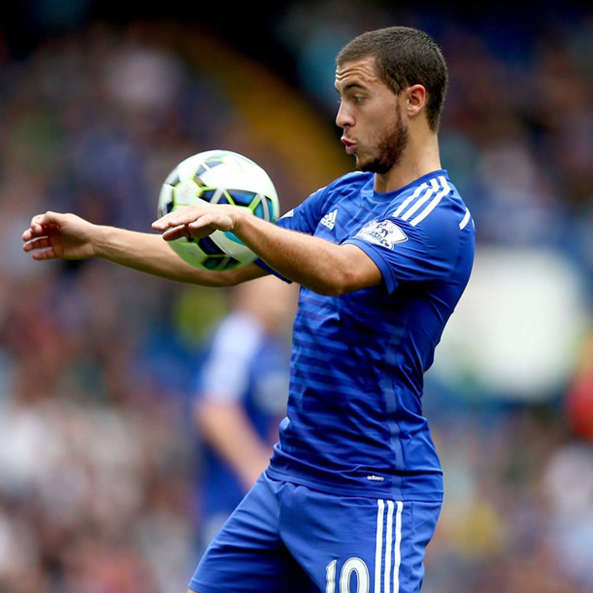 hazard