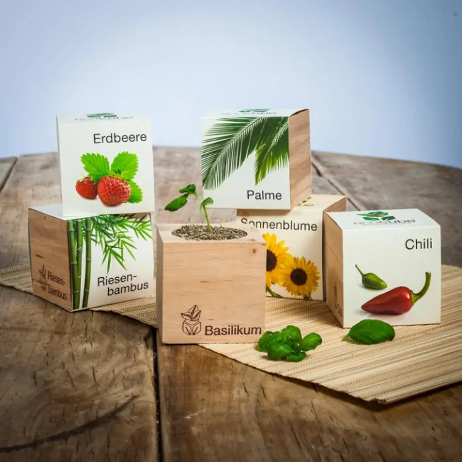 ecocube