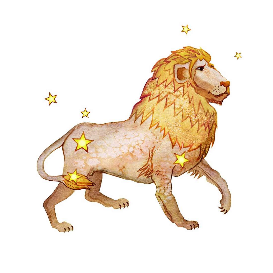 Horoskop: Von diesen Sternzeichen fühlst du dich angezogen Löwe