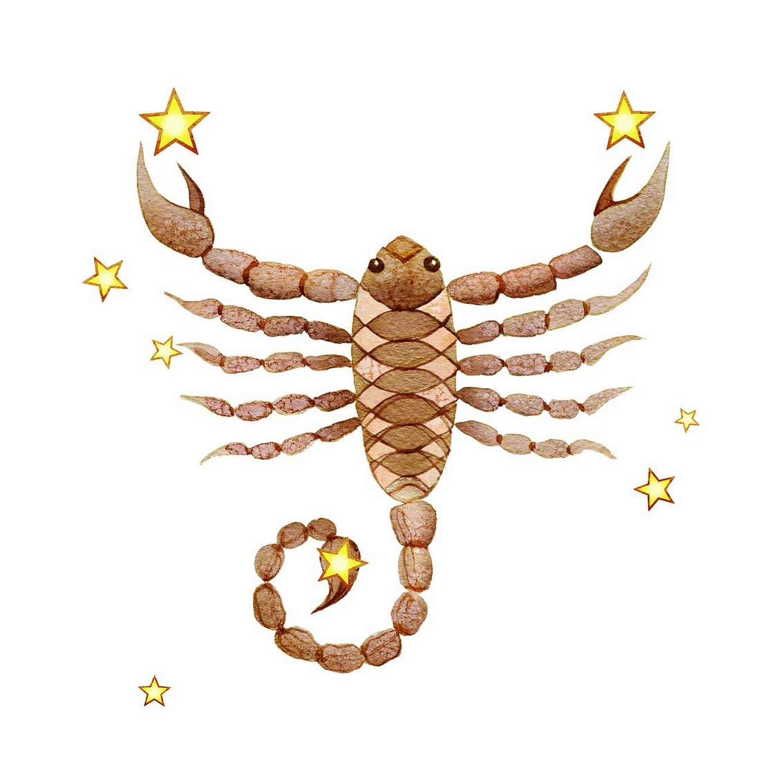 Horoskop: Von diesen Sternzeichen fühlst du dich angezogen Skorpion