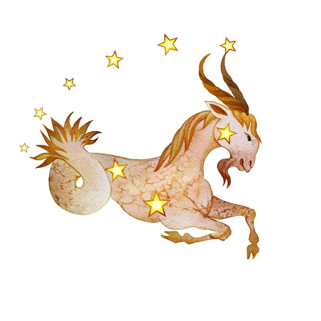 Horoskop: Von diesen Sternzeichen fühlst du dich angezogen Steinbock