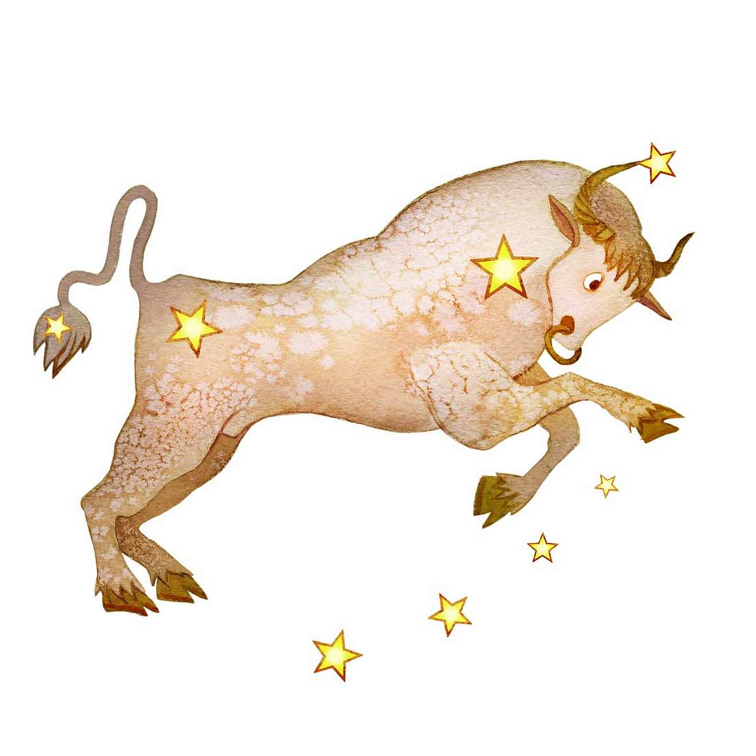 Horoskop: Von diesen Sternzeichen fühlst du dich angezogen Stier