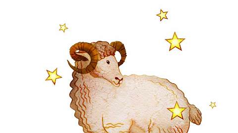 Horoskop: Von diesen Sternzeichen fühlst du dich angezogen Widder - Foto: stock.adobe.com/ iuliiawhite
