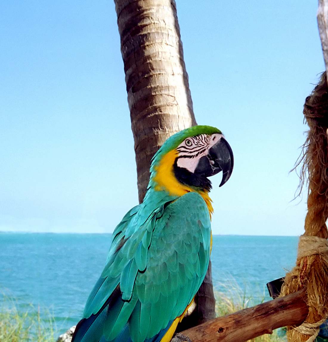 istock 000000573408 medium