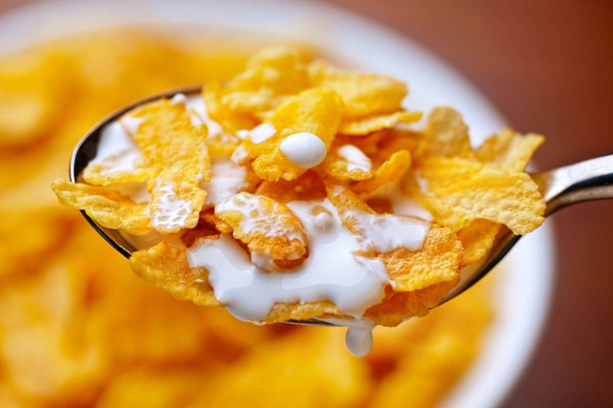 Cornflakes ist ein lecker Frühstück, sorgt nur leider nicht für leckeren Sex!