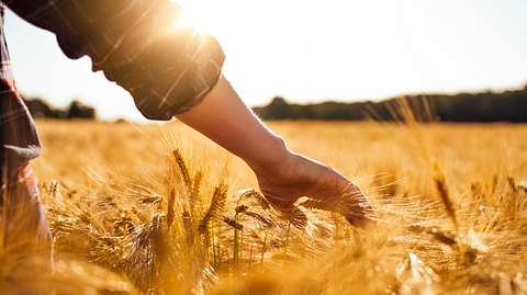Frauen stehen auf gepflegte Hände bei Männern - Foto: iStock: wundervisuals