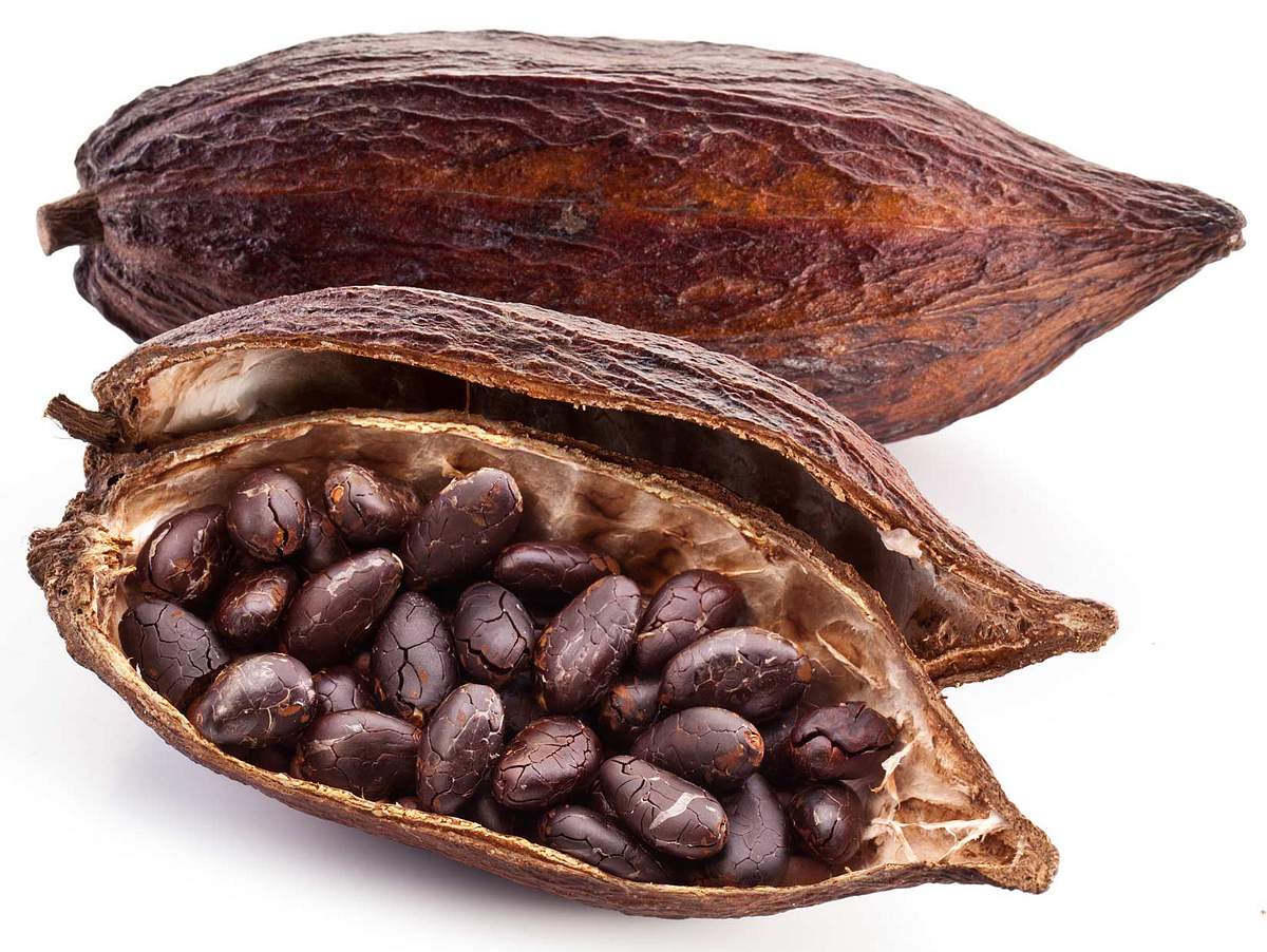 Kakao: Gesund und lecker
