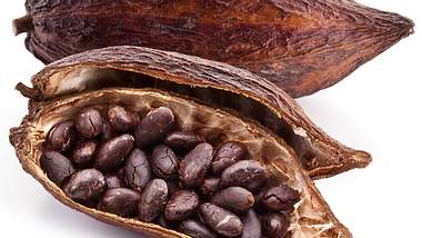Kakao: Gesund und lecker - Foto: Shutterstock