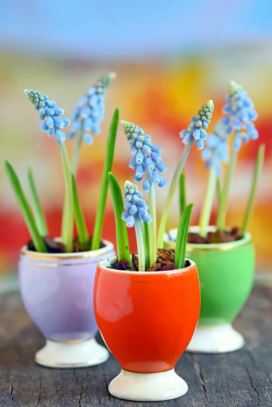 Kleine Ostergeschenke für deine Liebsten