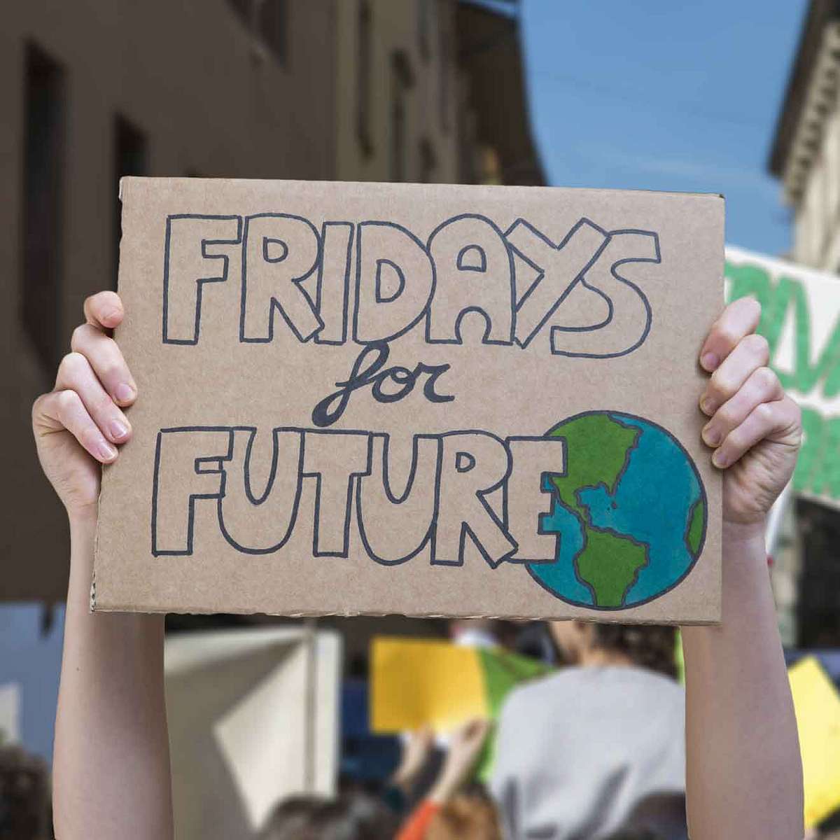 Klima-Mythos die Fridays for Future Proteste bringen gar nichts