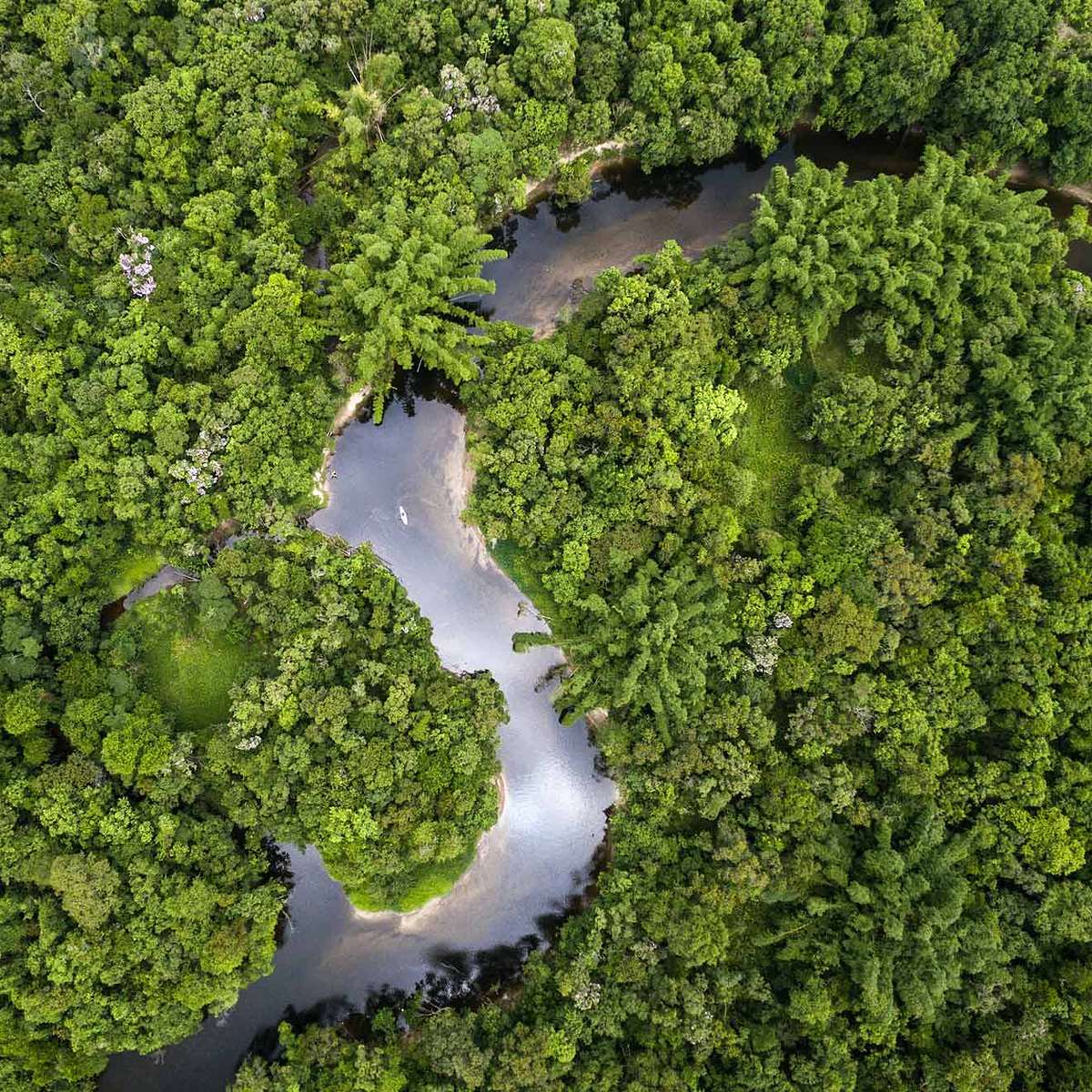 Klima-Mythos Mehr CO2 ist gut für die Pflanzen