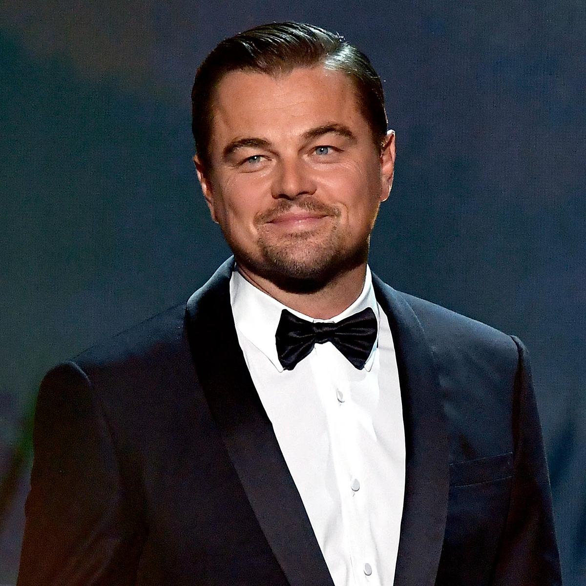 Klimaschutz: Diese Stars setzen sich für die Umwelt ein Leonardo DiCaprio