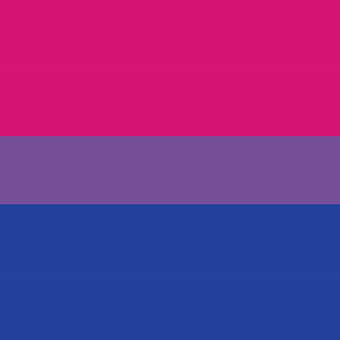 LGBTQ+-Flag: Was bedeutet sie? - Bi