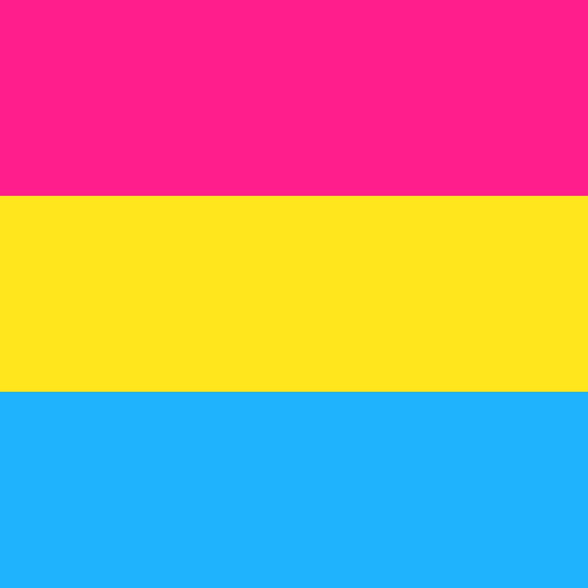 LGBTQ+-Flag: Was bedeutet sie? - Pan
