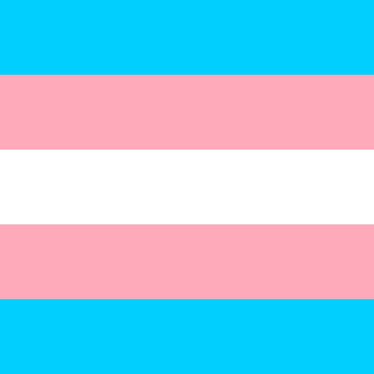 LGBTQ+-Flag: Was bedeutet sie? - Trans