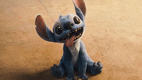 Stitch sitzt auf dem Boden und sieht aus wie ein Hund. - Foto:  IMAGO / Landmark Media
