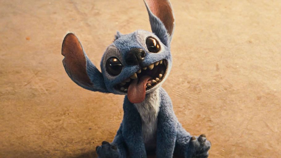 Stitch sitzt auf dem Boden und sieht aus wie ein Hund.