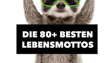 Lustige Sprüche Lebensmotto - Foto: iStock-Sonsedska