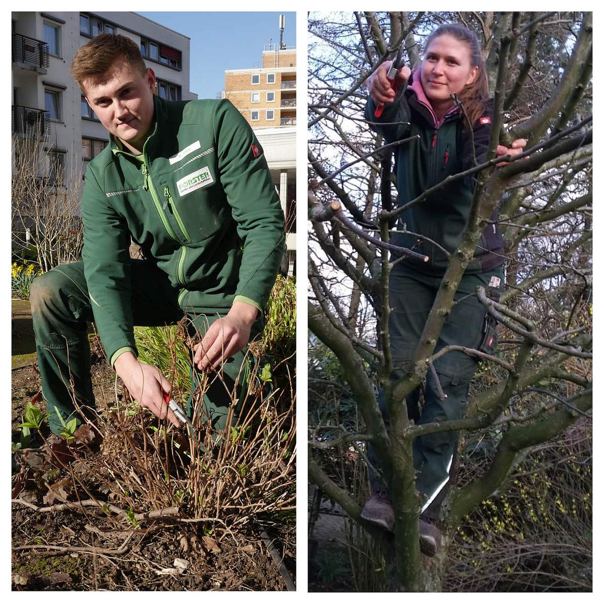 „Mein grüner Traumjob“