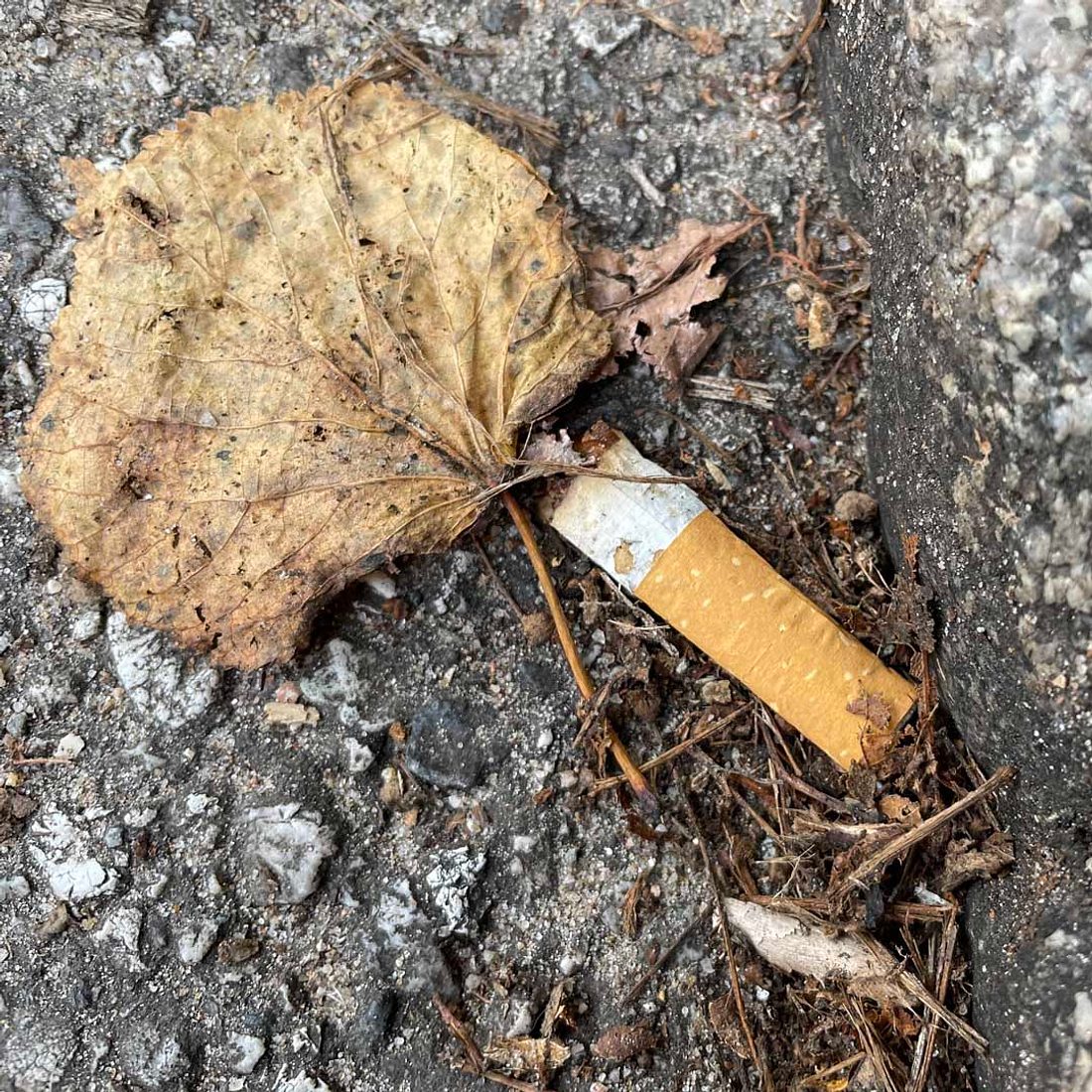 Mord nach 26 Jahren aufgeklärt – wegen ausgedrückter Zigarette!
