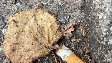 Mord nach 26 Jahren aufgeklärt – wegen ausgedrückter Zigarette! - Foto: IMAGO / Waldmüller