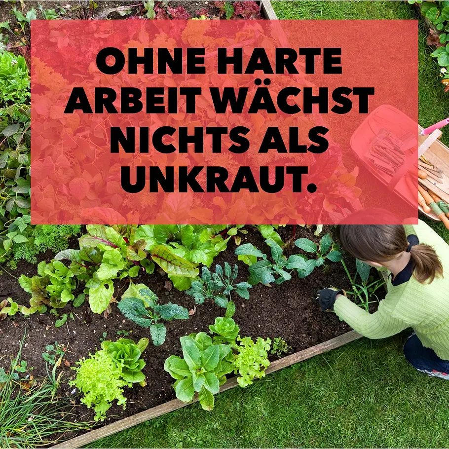 Motivierende Sprüche: Unkraut Motivierende Sprüche: Unkraut