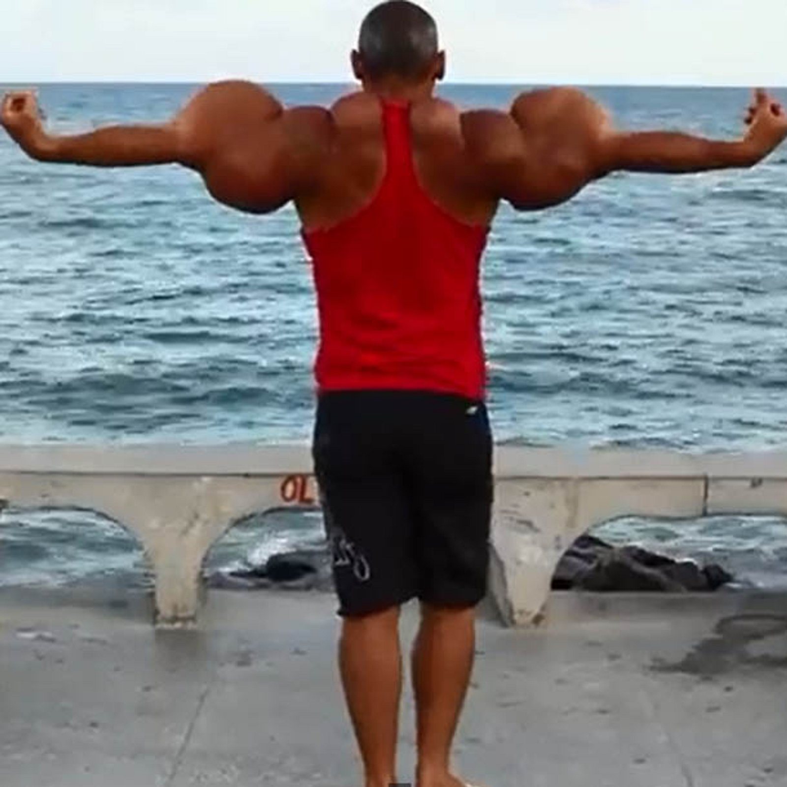 Synthol Dick