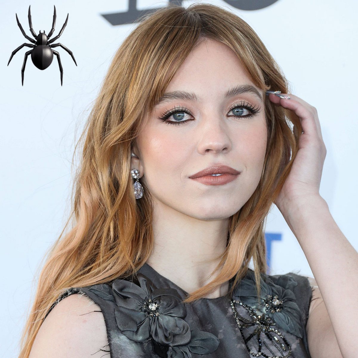 Nach Zendya: Euphoria-Star in Spider-Man-Filmen!