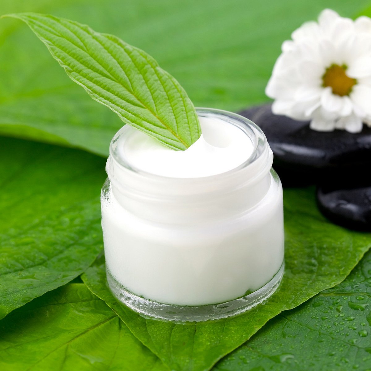 Green Beauty: Gute Naturkosmetik-Produkte.