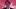 Netflix „Heartstopper“ Skandal: Star Kit Connor zum Outing gezwungen - Foto: Netflix