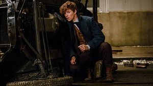 Harry Potter-Serie mit Newt Scamander aus Phantastische Tierwesen!?😍 - Foto: IMAGO / Cinema Publishers Collection