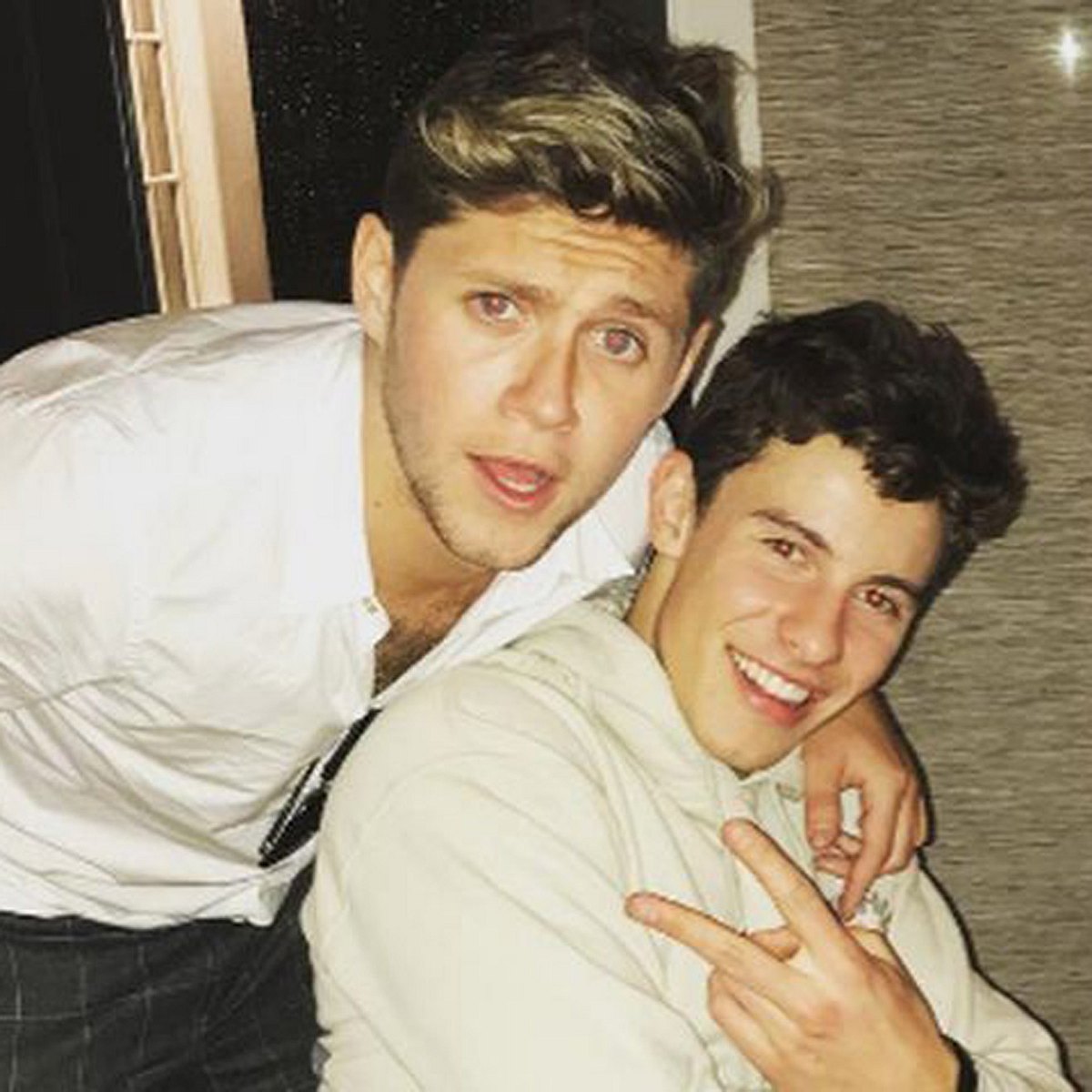 Niall Horan und Shawn Mendes sind Best Friends