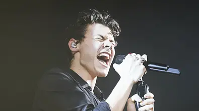 Harry Styles ist inzwischen ein erfolgreicher Solokünstler - Foto: Sony Music