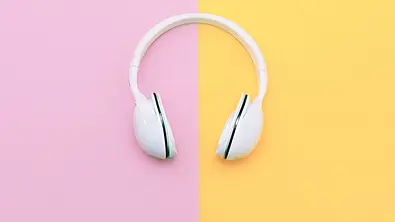 Internet-Hype - Foto: Shutterstock